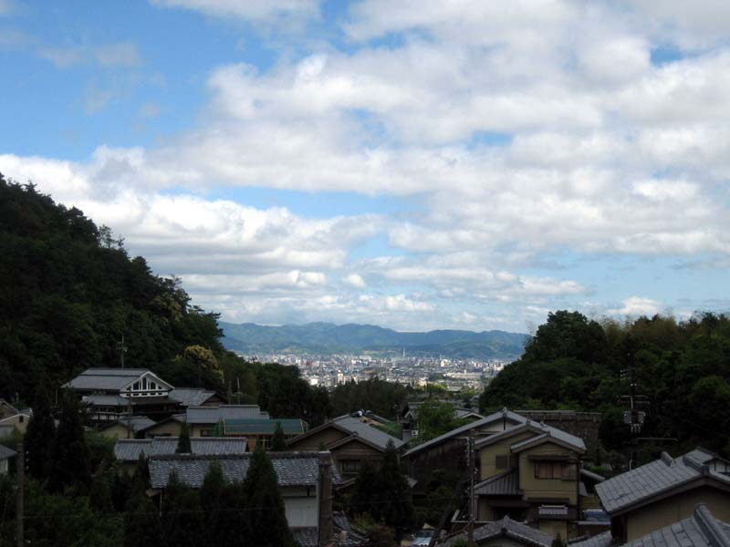 Can you see Kyoto Tower?  I wonder how many miles I've covered with my little shopping bike already...best $40 purchase I've ever made. 