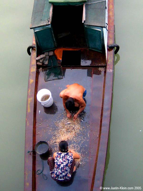Some local fishermen sorting through the day's catch on the deck of their little sampan 