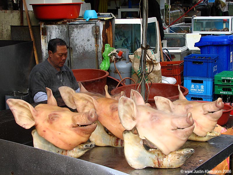 A slightly less appetizing meal. Just kidding. Apparently, having a smiling pig's head outside your business is supposed to bring good luck in Korea. This guy must be rolling in the dough.