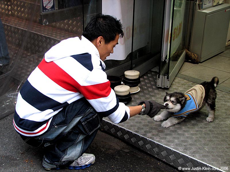 Since I clearly don't have pictures appropriate to the content of this post, I'm just going to fill it up with whatever. Look at the cute little doggie! :-)