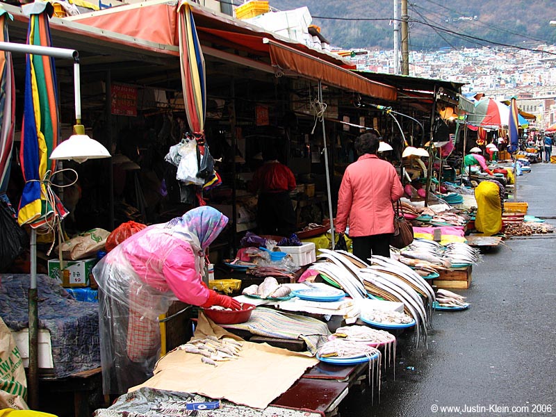 A morning fish market. 