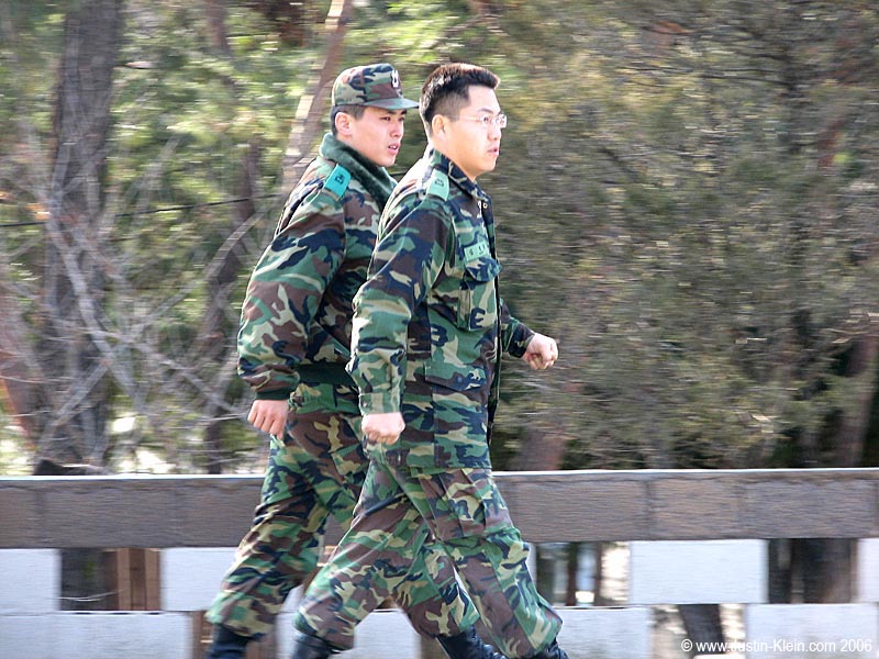 That's quite a strut they have there. 