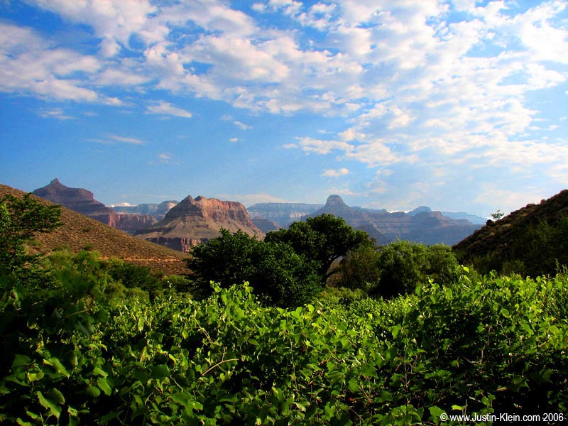 Looking back over Bright Angel Trail, significantly more lush than the barren South Kaibab. 