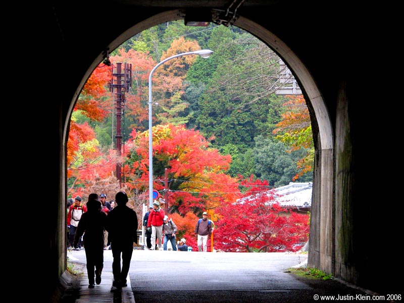 More fall colors in Arashiyama. 
