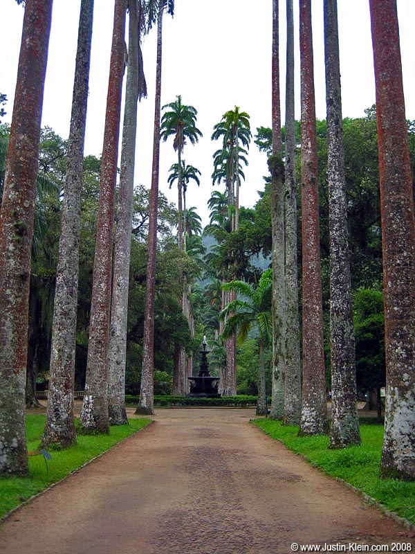 Rainy day activity #2: Jardim Botanico, the botanical gardens.  Apparently a lot of people really like it here.  My reaction was "meh."  Maybe because I <i>knew</i> that they were botanical gardens and not natural - I always like more of a "see-things-the-way-they-are" experience rather than to have things presented to me.  Which is why I almost never go to museums. 