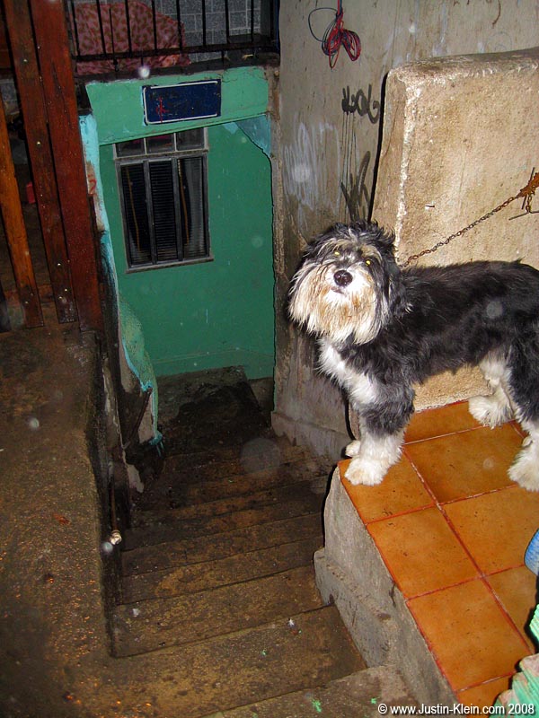 What up, dawg 
