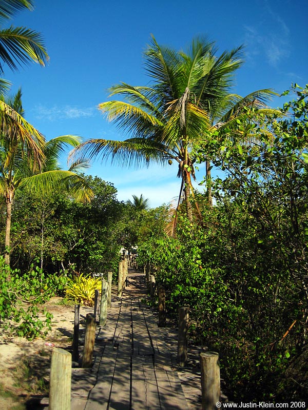 The path to the beach.