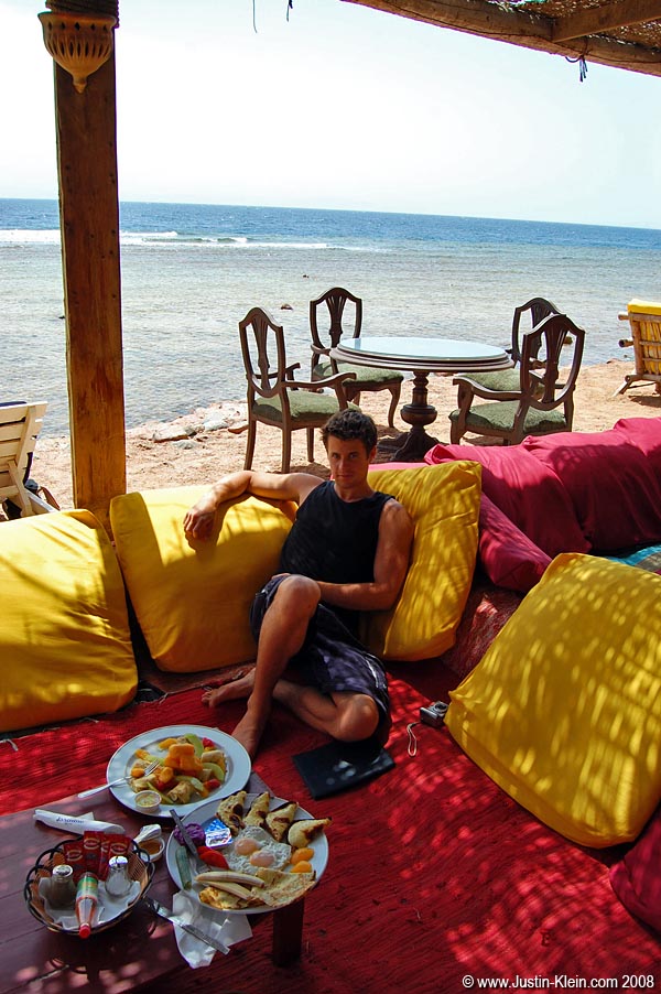 Lounging on the coast of the Red Sea