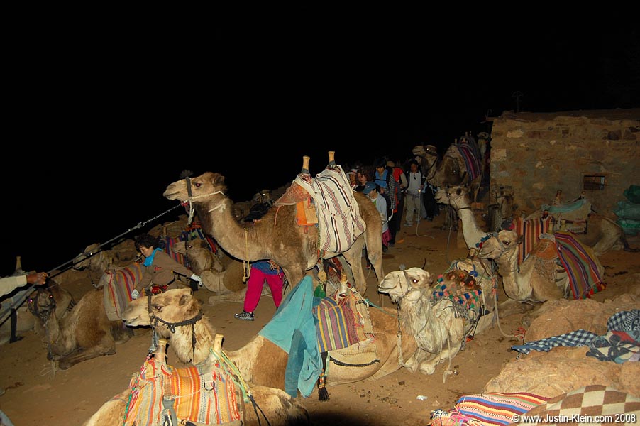 A camel parking lot on or way up the mountain.