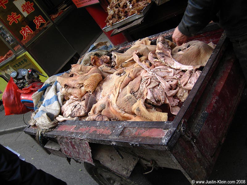 Eating in some parts of the world can be a gamble - you never know exactly what you're gonna get! (Xi'an, China)