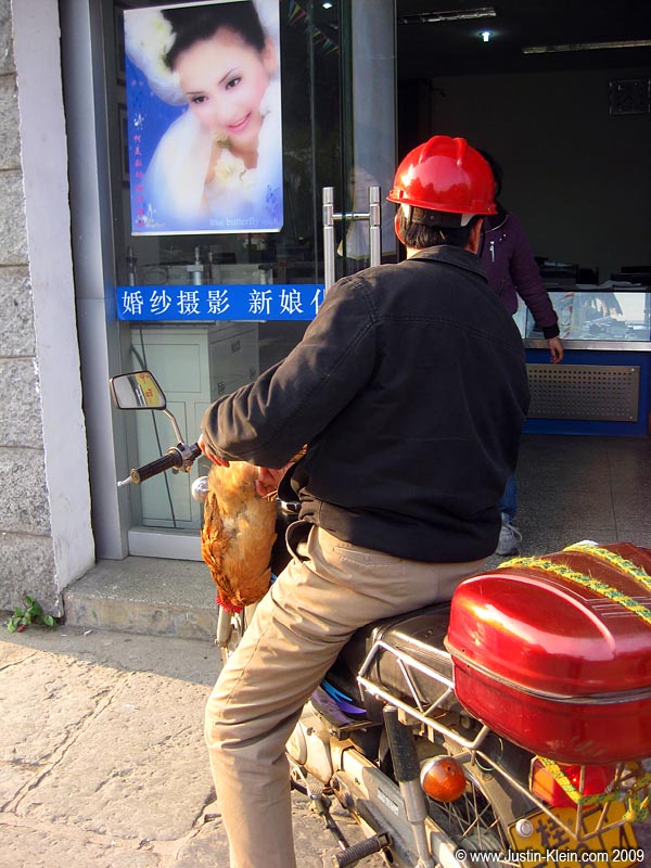 One thing you see a lot of in Yangshuo are people walking/riding around with upside-down chickens dangling by their legs. What makes this look particularly silly to me is...the chickens are alive! They just sort of sit there, looking around at the inverted world pass by...with no idea that they're about to become someone's lunch.