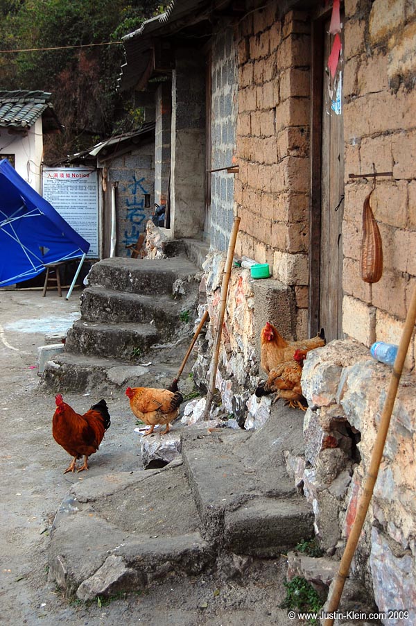 The entrance to the watercave sits in the midst of a typical little village, with orange groves surrounding and chickens roaming about. The van ride from the main road was one BUMPY affair.