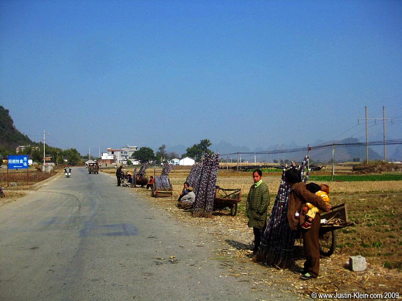 Selling sugarcane by the side of the road. 