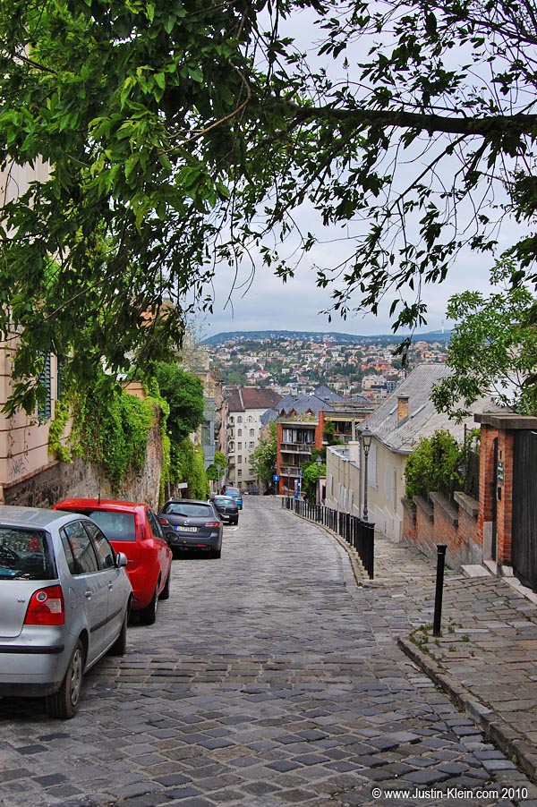A very pleasant walk down Castle Hill and into town.