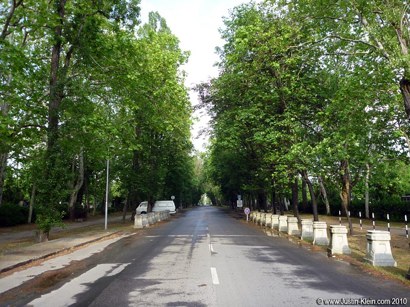 This is the view looking in from the cemetery's gates. It's so massive you can barely even see the first roundabout off in the distance.