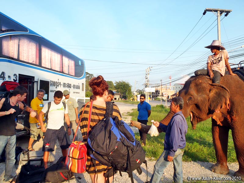 ...Because in Thailand, there's nothing unusual about hopping off your bus to find a guy sitting there on his elephant.