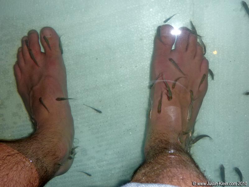By far the weirdest "foot massage" I've ever had: hundreds of tiny fish nibble the dead skin off your feet. Just try not to laugh. It's nearly impossible.
