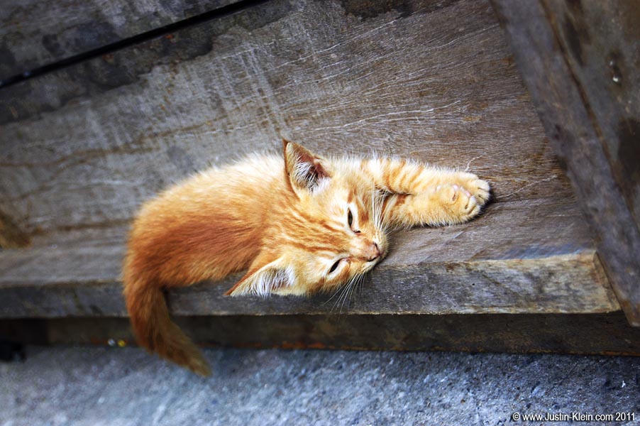 Awwwww.