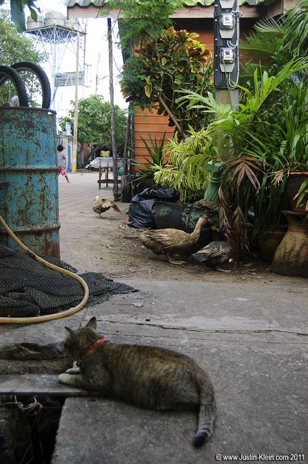 Some local Pannyi residents.