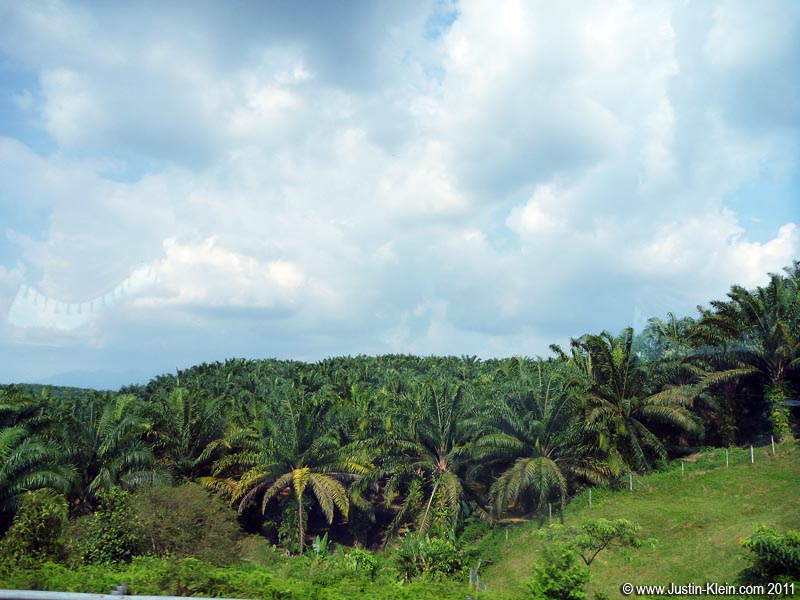 In this exact location - on a highway miles from the nearest town - I had full reception and 3G internet. Impressive!
