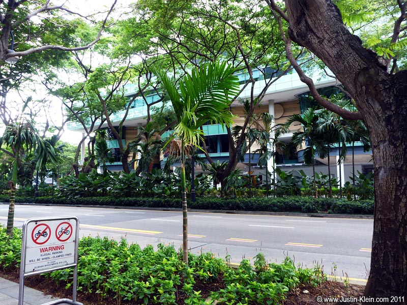 Right in the city center.  Look at that vegetation!