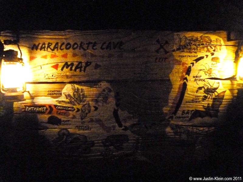 A map of "the cave," their presentation on nocturnal insects.