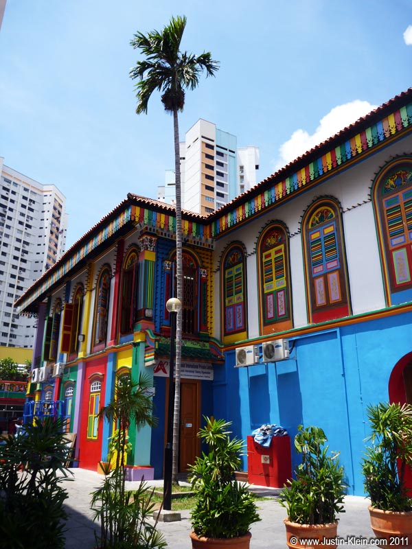 All the colors of the rainbow.